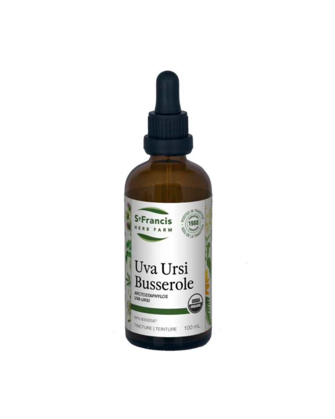 St. Francis Herb Farm Uva Ursi Tincture – 50 mL