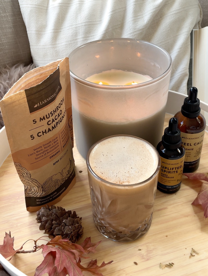 5 Mushroom Cacao