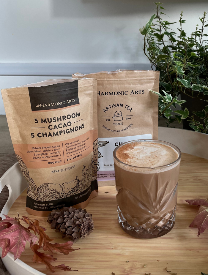 5 Mushroom Cacao