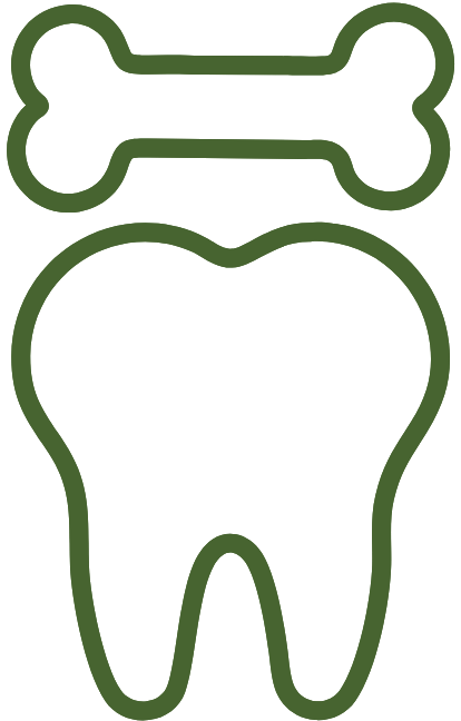 Bone & Teeth Health