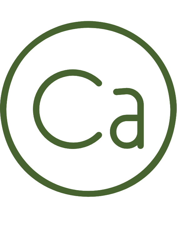 Calcium Absorption