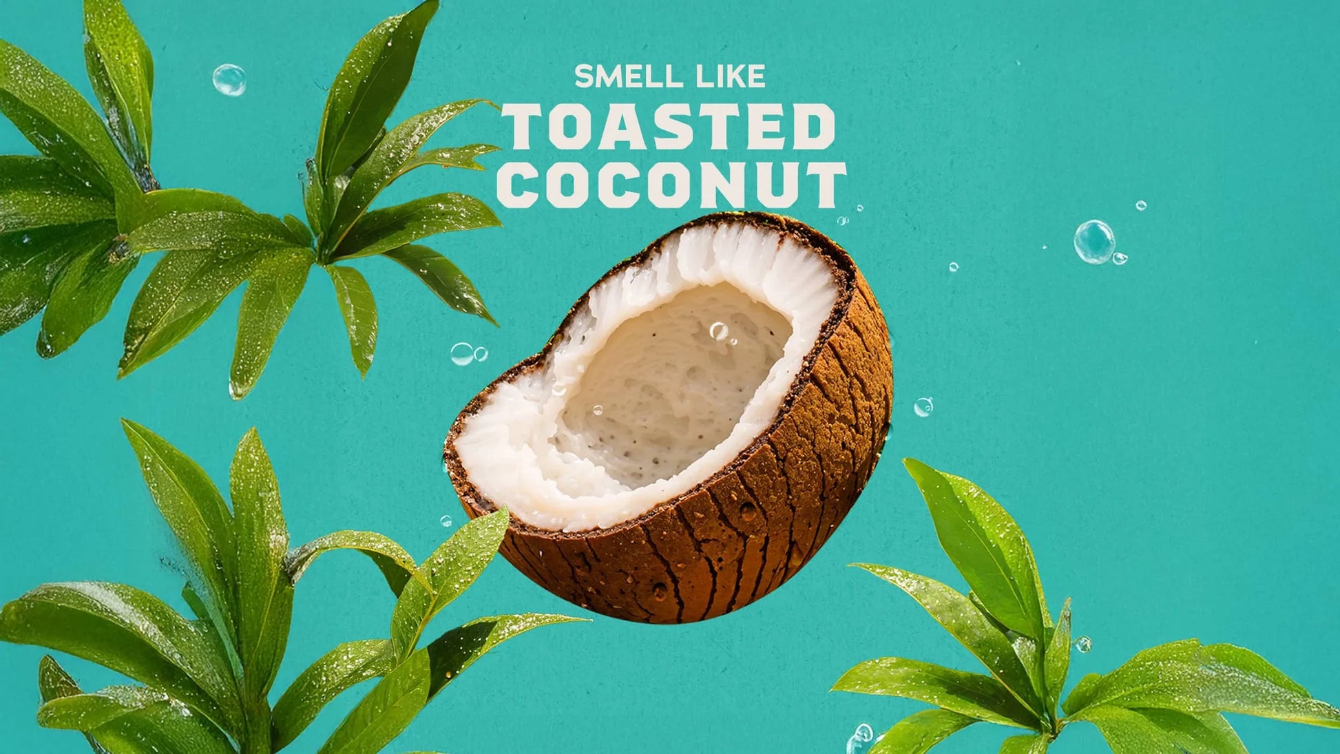 Dr. Squatch Coconut Castaway Deodorant – 2.65 oz