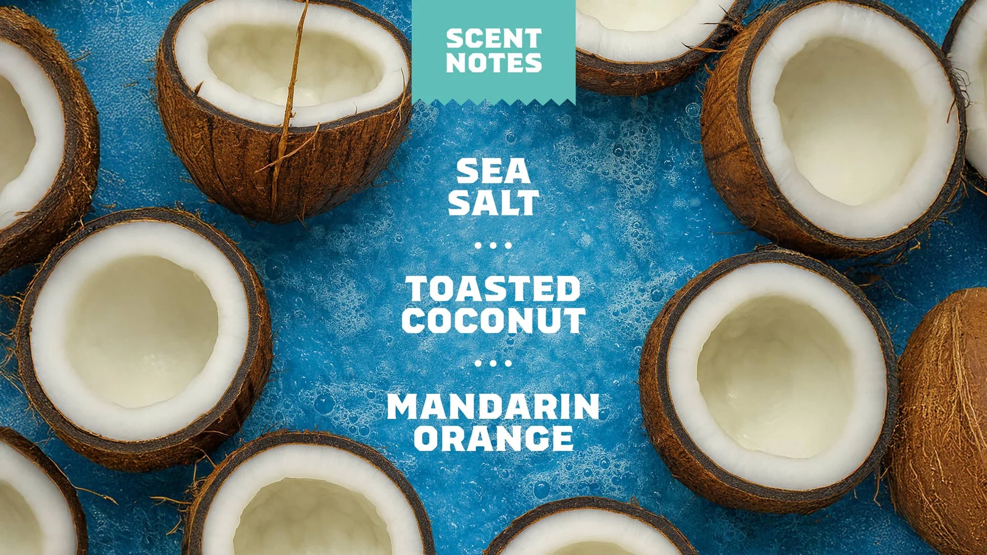 Dr. Squatch Coconut Castaway Bar Soap – 5 oz