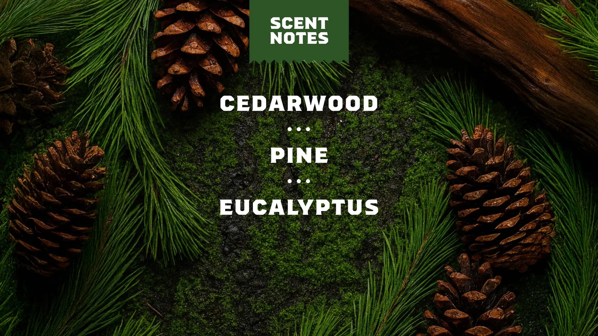 Dr. Squatch Pine Tar Deodorant – 2.65 oz