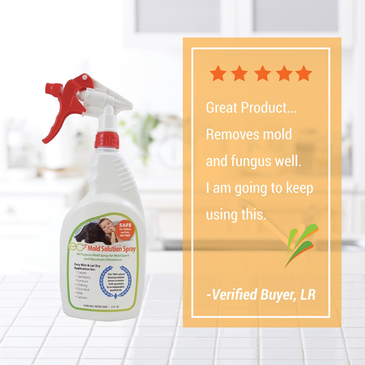 EC3 Mold Solution Spray – 32 fl oz