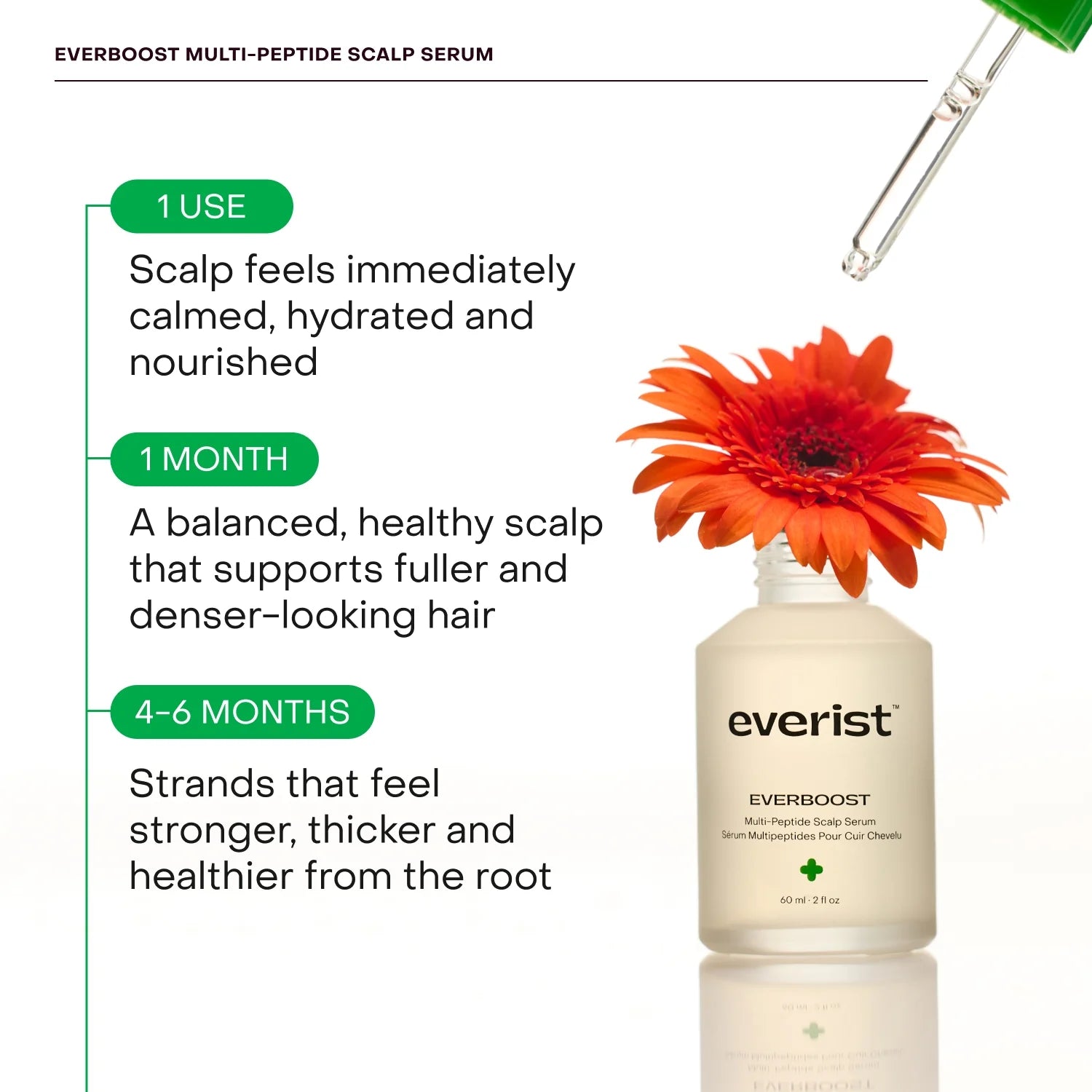 Everist EverBoost Multi-Peptide Scalp Serum – 60 mL