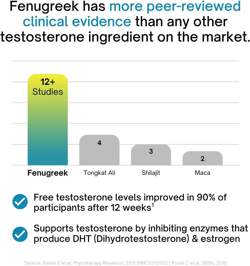 Synergy Holistics Test Synergy