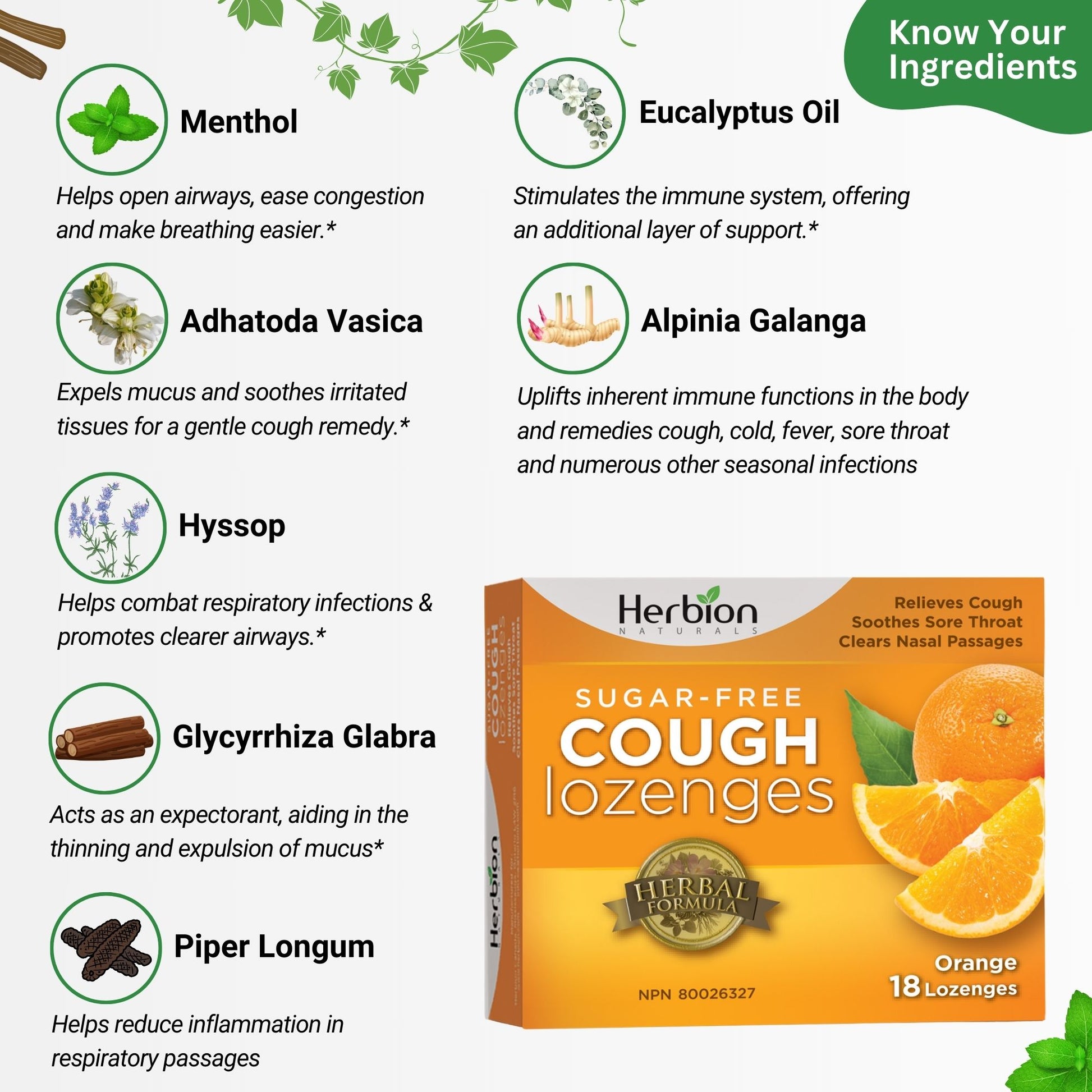 Herbion Naturals Orange Sugar-Free Cough Lozenges – 18 Lozenges