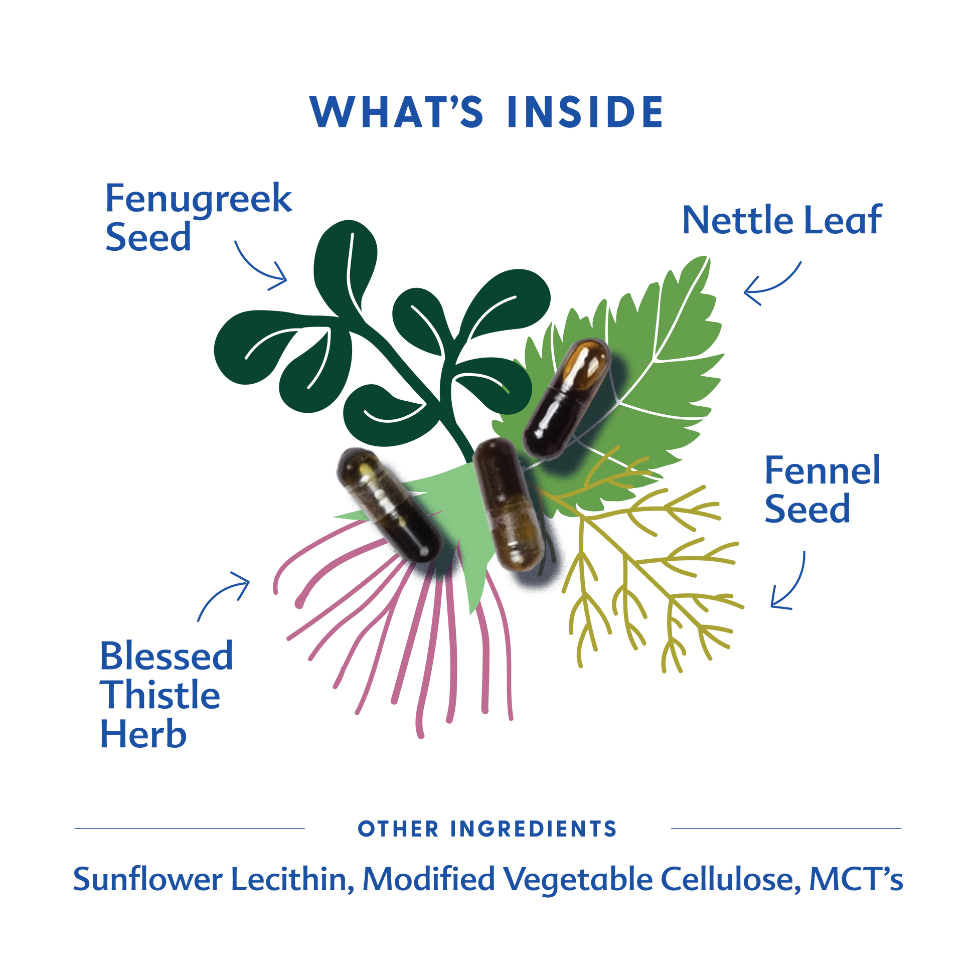 Motherlove More Milk Plus - 60 Liquid Capsules
