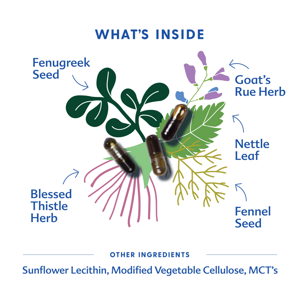 Motherlove More Milk Special Blend - 60 Liquid Capsules