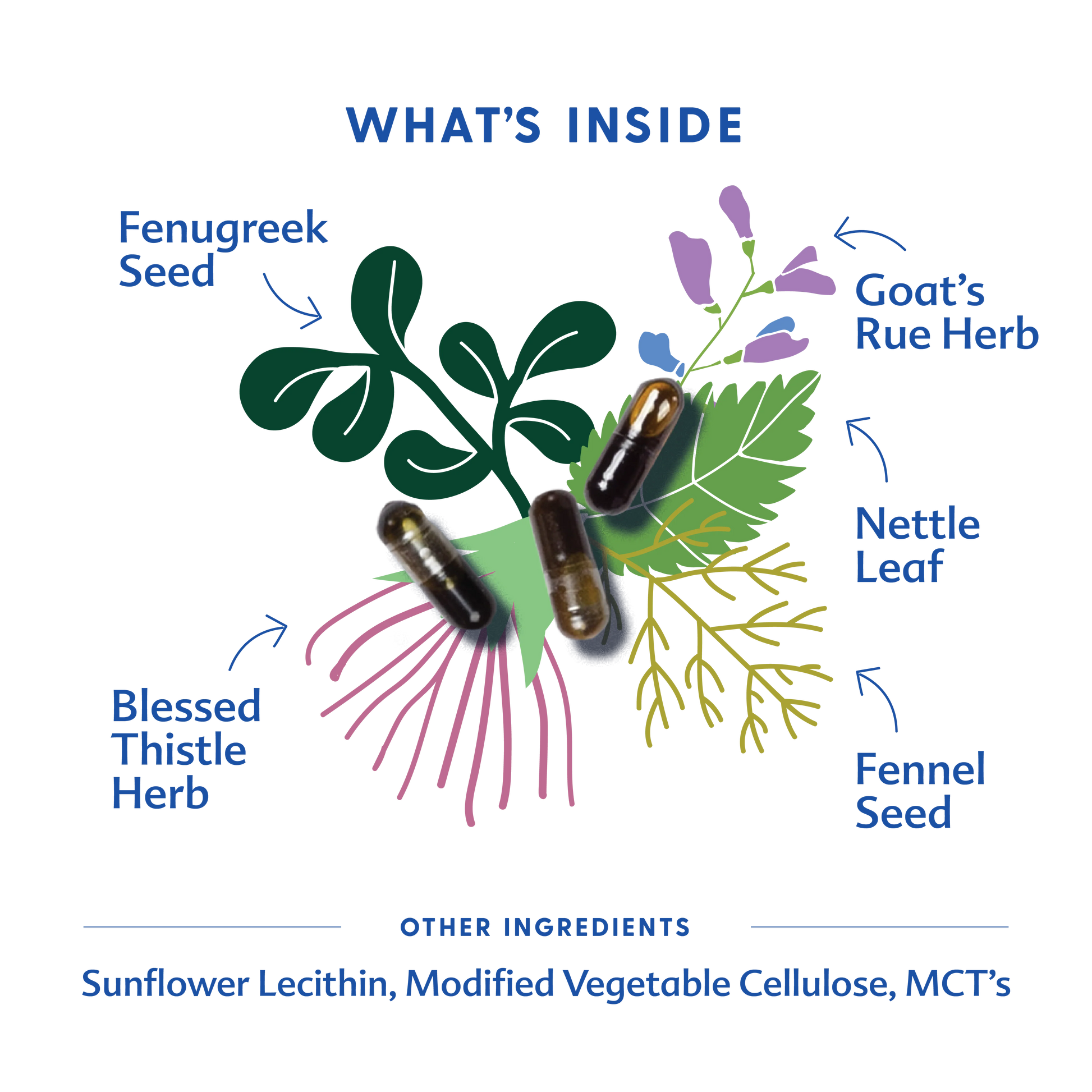 Motherlove More Milk Special Blend - 60 Liquid Capsules