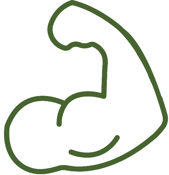 Muscle Support