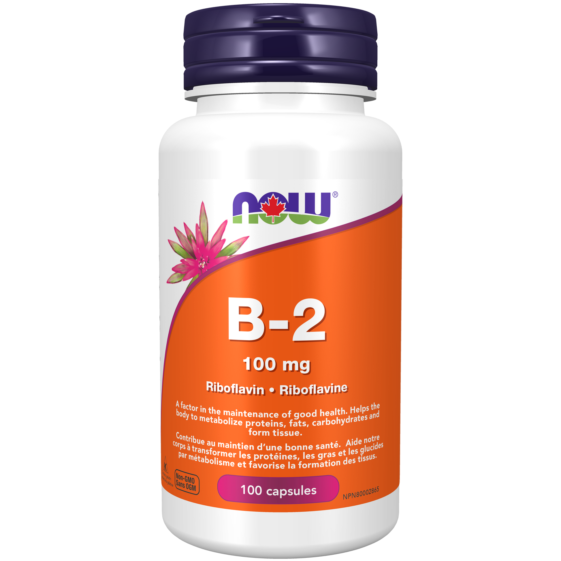 NOW B2 - 100 mg - 100 Capsules