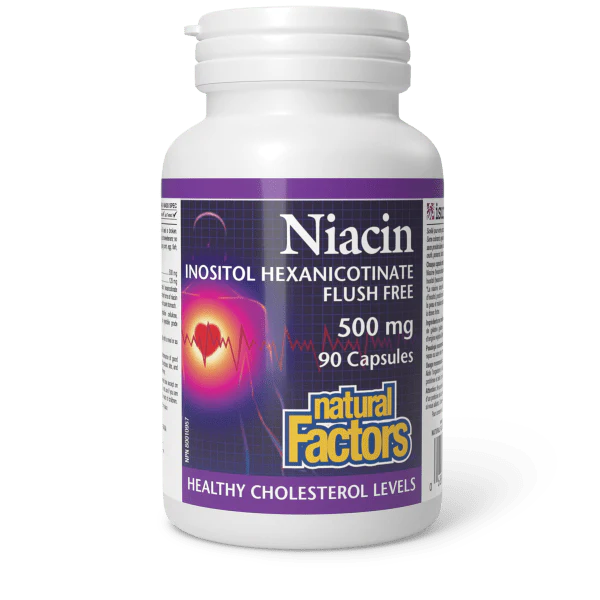 Natural Factors Niacin - 500 mg - 90 Capsules