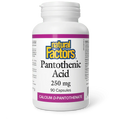 Natural Factors Pantothenic Acid - 250 mg - 90 Capsules