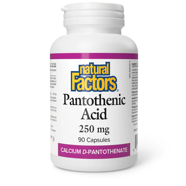 Natural Factors Pantothenic Acid - 250 mg - 90 Capsules