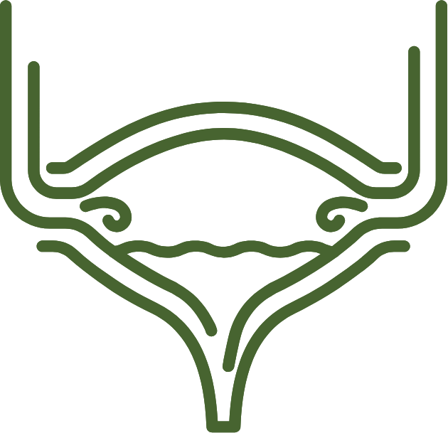 Urinary Tract Health
